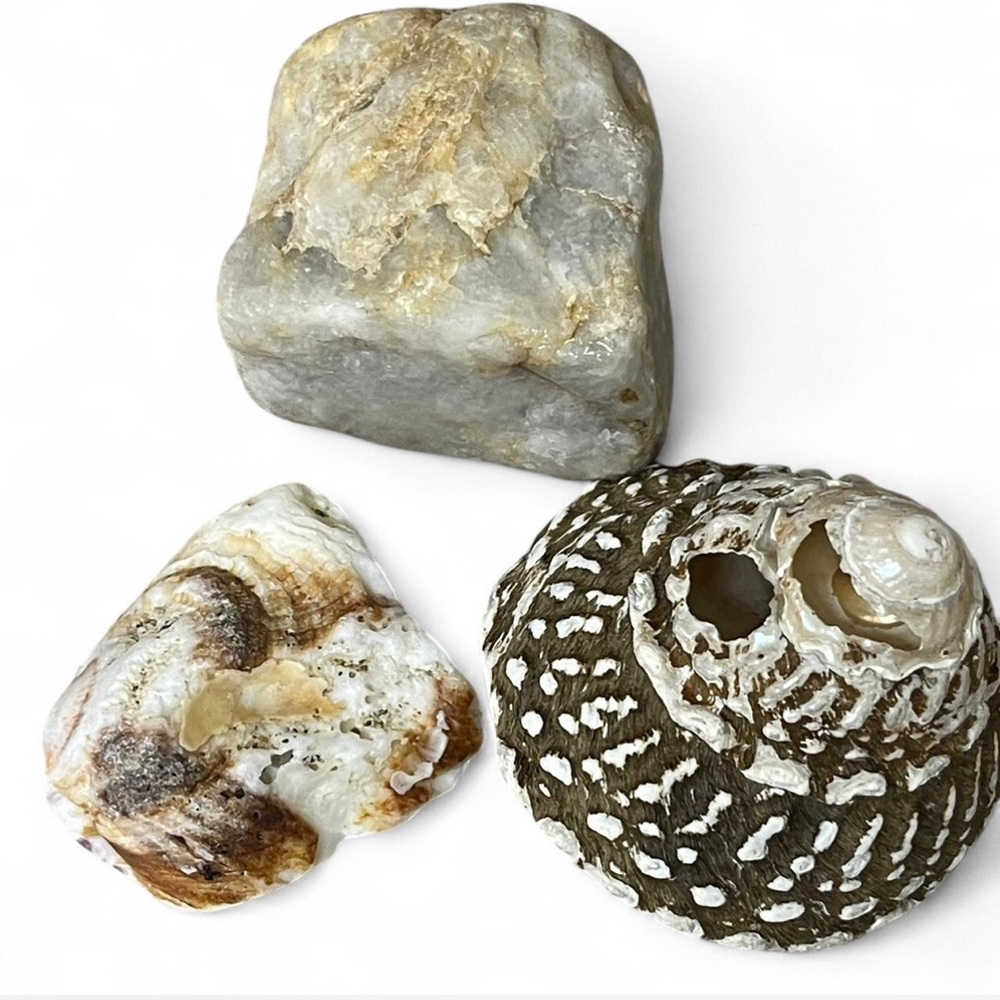 Malibu California Natural Stone and Shell Collection